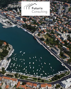 FUTURIS CONSULTING